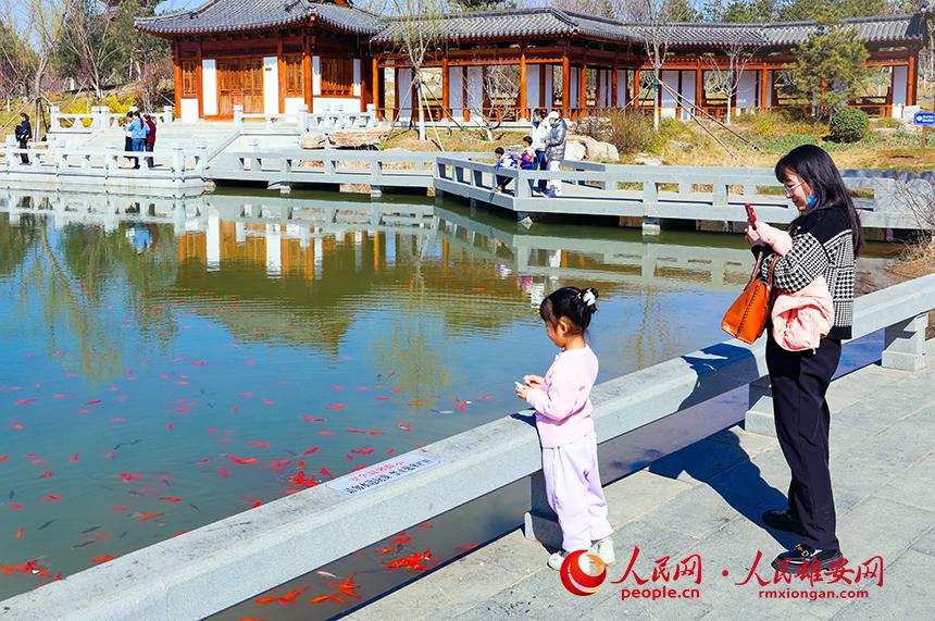 雄安悅?cè)莨珗@一角，不少家長帶著孩子前來游玩。人民網(wǎng)宋燁文攝